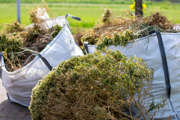 Best Carpet Removal and Disposal  in Zapata, TX